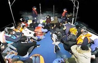 Didim’de 17 düzensiz göçmen yakalandı