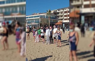 Didim’de bu yılda sokak hayvanları için denize...