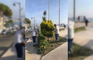 Didim’de yeşil alan çalışmaları sürüyor