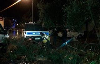 Didim’deki parklarda temizlik çalışmaları devam...