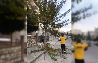 Didim’in çehresi değişiyor