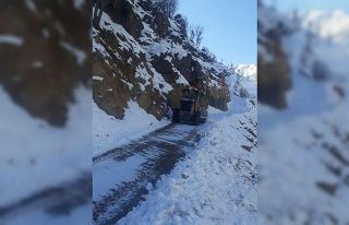 Diyarbakır Büyükşehir Belediyesi kardan kapanan...