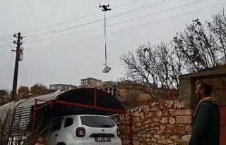 Diyarbakır polisinden görülmemiş hizmet: Kısıtlamada...