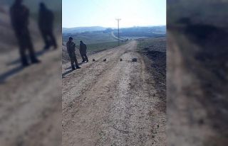 Diyarbakır’da 2 köy karantinaya alındı