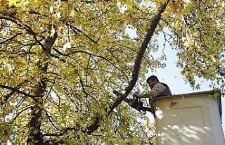 Döşemealtı’na kış bakımı