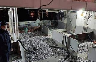 Düzce’de yasal boy sınırının altında avlanan...