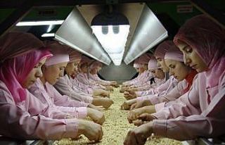 Düzce’den Avrupa’ya bin 63 ton iç fındık ihraç...