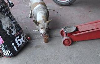 Edirne sanayisinin istifçi ‘Pati’si