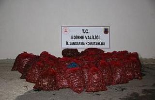 Edirne’de 1 ton kaçak kum midyesine 100 bin TL...
