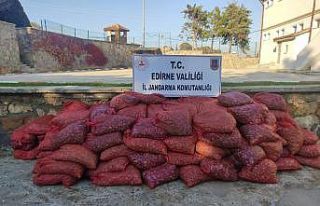 Edirne’de 600 bin TL’lik 3 ton kum midyesi ele...