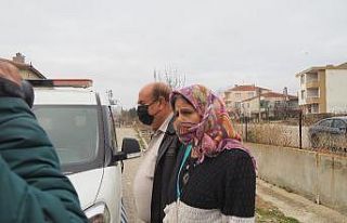 Edirne’de bir köpek ölü olarak bulundu