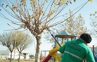 Efeler Belediyesi Tepecik’e el attı