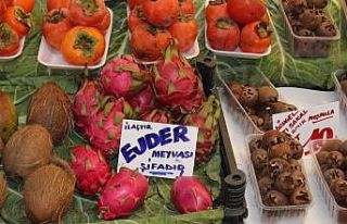 Ejder meyvesi sezonu kapattı