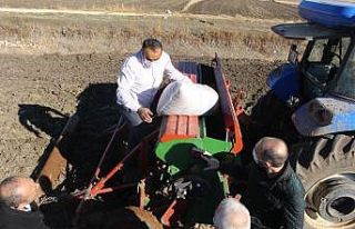 Ekim yapılamayan alanlar tarıma geri kazandırılıyor