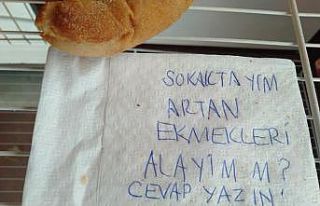 Ekmek dolabındaki not, Bodrum’un öteki yüzünü...