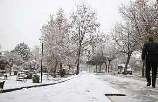 Elazığ güne karla uyandı