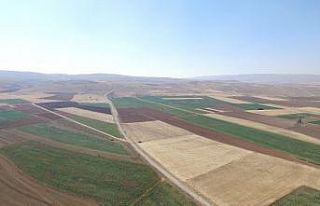 Elazığ ve Malatya’da bu yıl 87 bin 543 hektar...