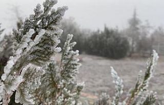 Elazığ’da ağaçlar kırağı tuttu, süs havuzları...