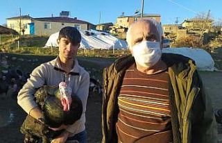 Elazığ’da pandemi ve yasaklar hindiye talebi azalttı