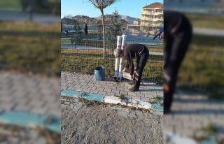 Emirdağ Belediyesi soğuk havalarda sokak hayvanlarını...