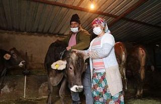 Engelli kadın hayal bile edemezken İŞKUR desteği...