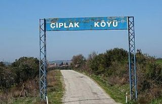 Eniştesini demir çubukla öldürdü