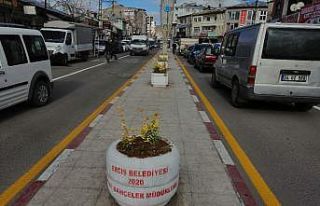 Erciş Belediyesinden caddelerde dekoratif çalışmalar