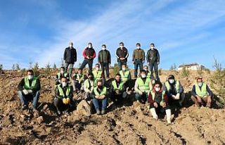 Erciş’te bin 742 adet fidan dikildi