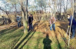 Ergani’de temizlik çalışmaları devam ediyor