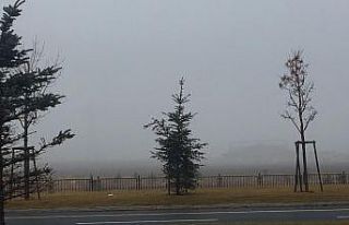 Erzurum güne sisle uyandı