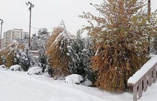 Erzurum kar’a teslim