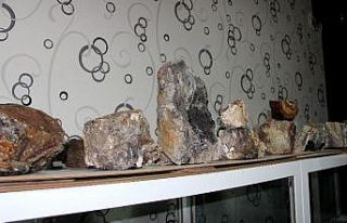 Erzurum’da 160 milyon yıllık taşlaşmış fosil...