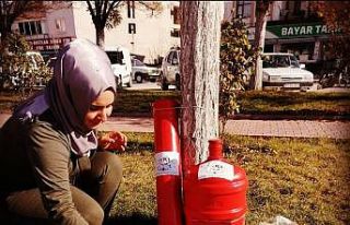 Eski damacanalar kedi yuvası oldu