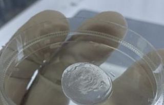 ESOGÜ yapay doku ve biyomalzeme üretmeye hazırlanıyor