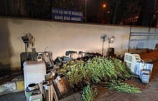 Evin bodrum katını uyuşturucu serasına çevirmiş