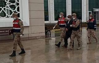 Eziyet ettiği eşeği 15 gün önce 750 TL’ye satın...