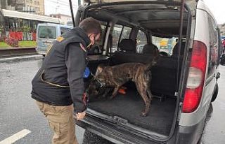 Fatih’te geniş çaplı ‘narkotik’ uygulaması