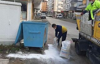 Fatsa’da çöp konteynerleri virüs tehlikesine...