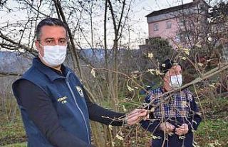 Fındık üreticilerine ‘kozalak akarı’ uyarısı