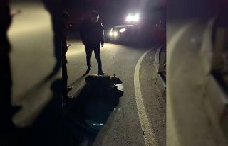 Gece korona denetimine çıkan kaymakam yaralı köpeğin...