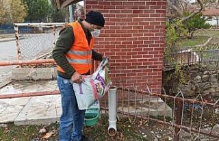 Gediz Belediyesi sokak hayvanlarını unutmadı