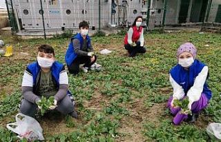 Gençler önce üretti, sonra dağıttı