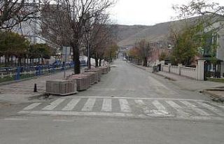 Gercüş ilçesinde sokaklar boş kaldı