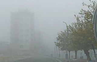 Gercüş’te yoğun sis sürücülere zor anlar yaşattı