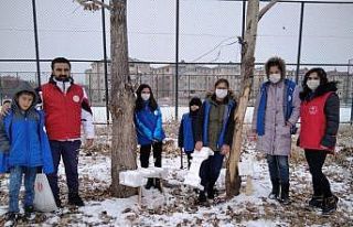 Gönüllü gençler doğadaki hayvanlara yem bıraktı