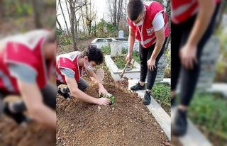 Gönüllü gençler mezarlık temizledi