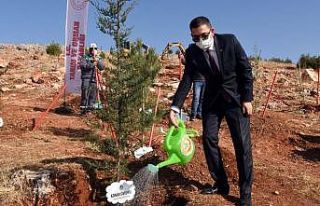 GSO’nun yılbaşı hediyesi GAGİAD ormanına fidan...