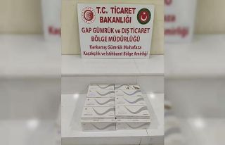 Gümrük kapısında 750 paket kaçak sigara ele geçirildi