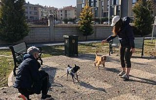 Güneşli günde parklar onlara kaldı