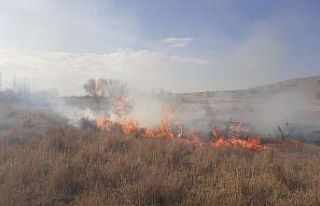 Gürpınar’da kuruyan otlar alev alev yandı